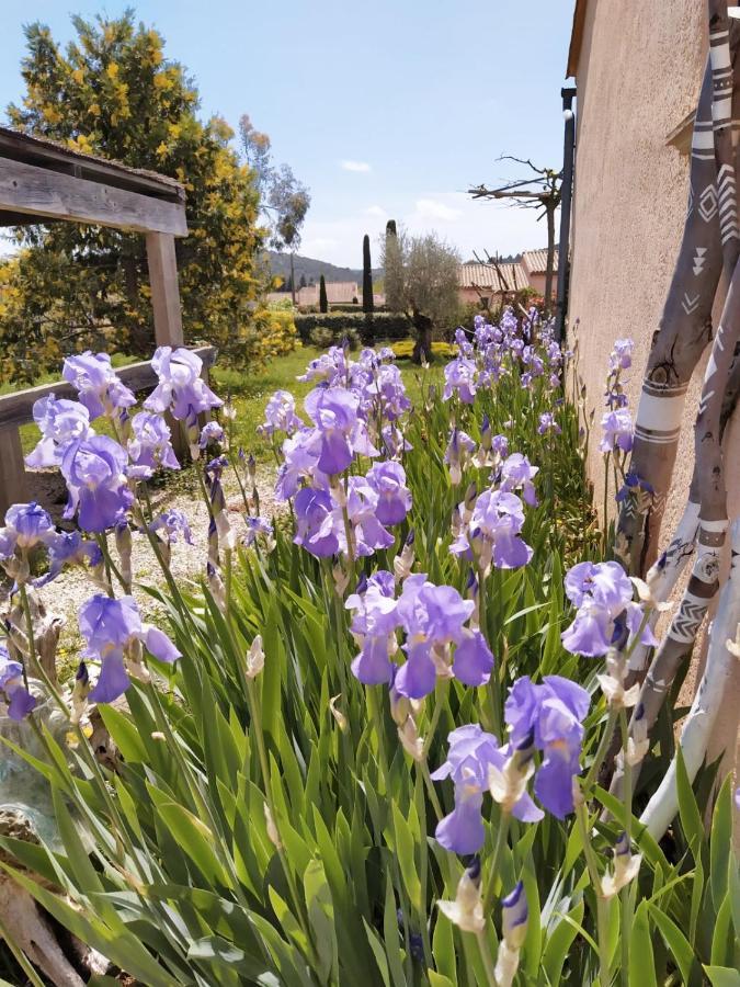 La Boheme Villa Seillans Bagian luar foto