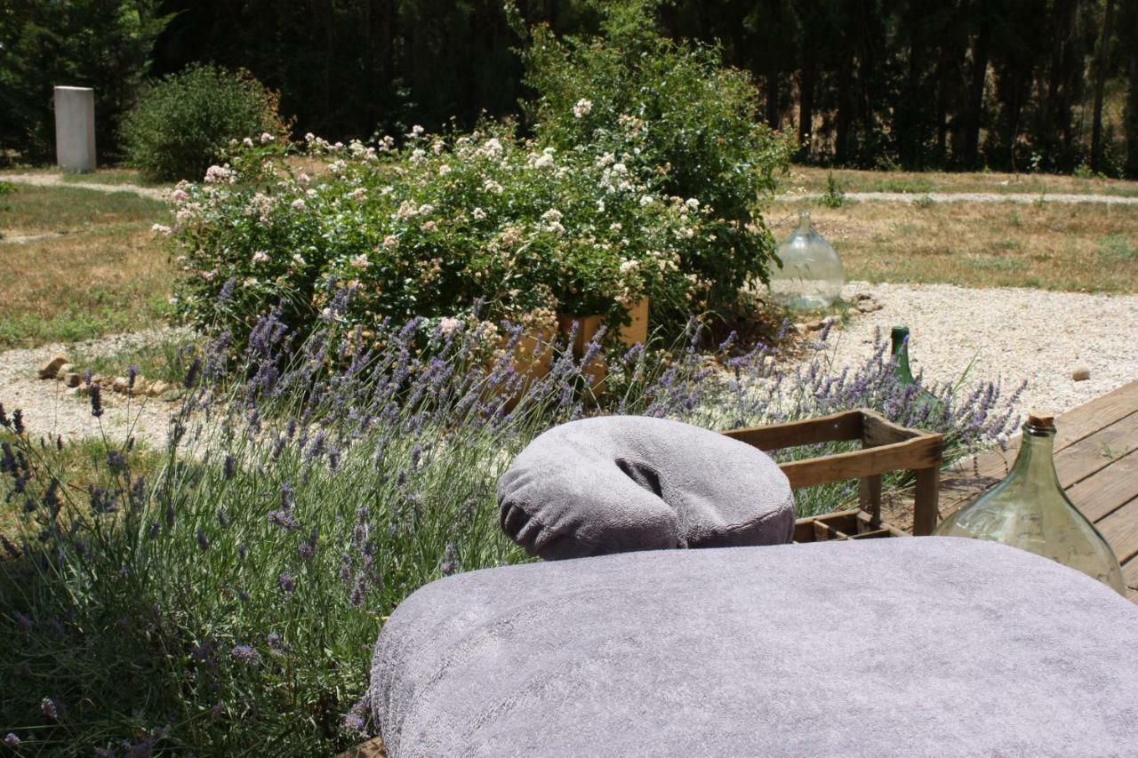 La Boheme Villa Seillans Bagian luar foto